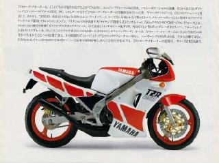 20091117tz250rs.jpg
