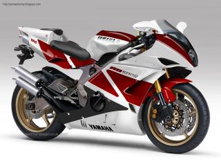 rd500c20091101.jpg